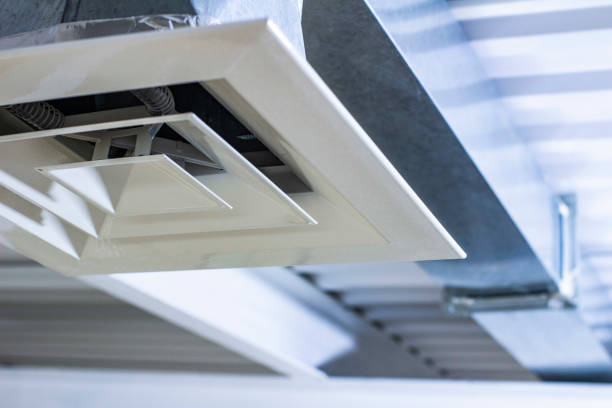 Best Air Vent Cleaning Services  in Dunedin, FL