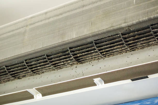 Best Best Air Duct Cleaning Company  in Dunedin, FL